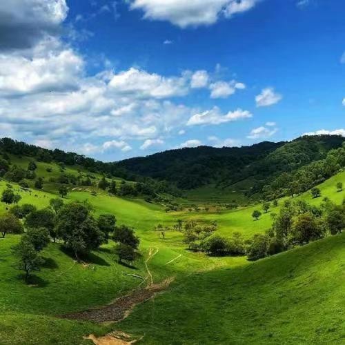 迪迪312025官方新版图标